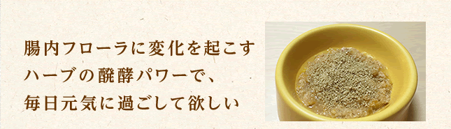 腸内フローラに変化を起こす ハーブの醗酵パワーで、 毎日元気に過ごして欲しい