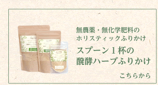 スプーン１杯の 醗酵ハーブふりかけはこちらから