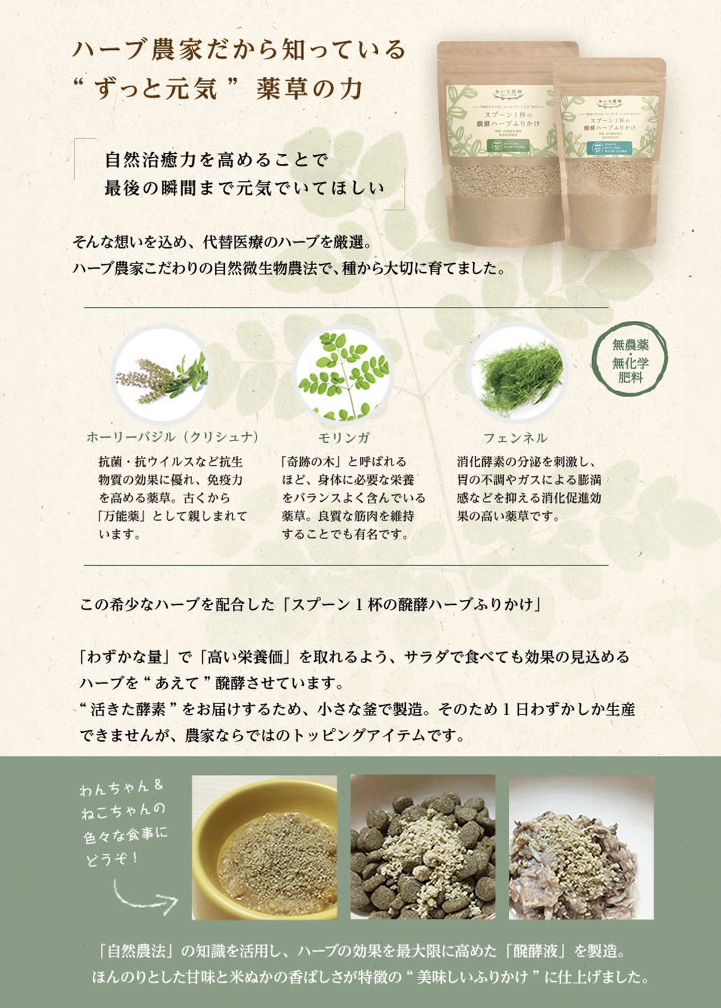 ハーブ農家だから知っている ずっと元気 薬草の力
